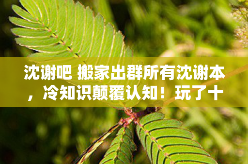 沈谢吧 搬家出群所有沈谢本,冷知识颠覆认知!玩了十年沈谢吧的我竟目瞪口呆发现…… 沈谢吧 搬家出群所有沈谢本,冷知识颠覆认知!玩了十年沈谢吧的我竟目瞪口呆发现……