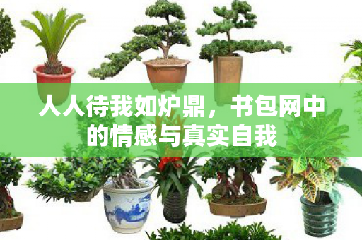 书包网中的情感与真实自我图片