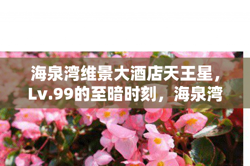 海泉湾维景大酒店天王星,Lv.99的至暗时刻,海泉湾维景大酒店里,我亲手埋葬了人生满级的幻觉 海泉湾维景大酒店天王星,Lv.99的至暗时刻,海泉湾维景大酒店里,我亲手埋葬了人生满级的幻觉
