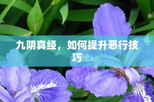 如何提升恶行技巧图片