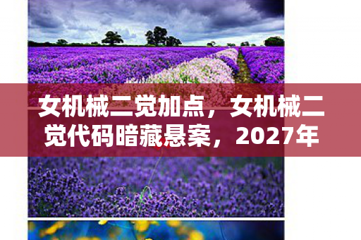 女机械二觉加点，女机械二觉代码暗藏悬案，2027年机械城失踪案背后的毛骨悚然真相