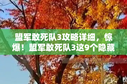 盟军敢死队3攻略详细,惊爆!盟军敢死队3这9个隐藏关卡,99%玩家竟从未通关? 盟军敢死队3攻略详细,惊爆!盟军敢死队3这9个隐藏关卡,99%玩家竟从未通关?