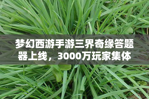 梦幻西游手游三界奇缘答题器上线，3000万玩家集体破防！三界奇缘答题器竟撕开手游经济新蓝海