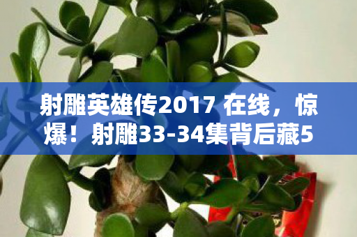 射雕英雄传2017 在线，惊爆！射雕33-34集背后藏500万隐情，离职老兵掀桌吓一跳！