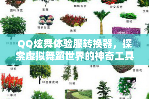 探索虚拟舞蹈世界的神奇工具图片