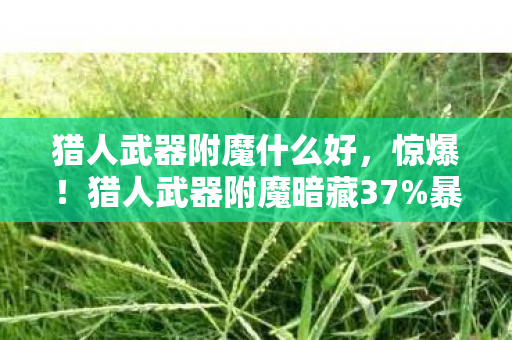 猎人武器附魔什么好,惊爆!猎人武器附魔暗藏37%暴击玄机,策划藏了三年! 猎人武器附魔什么好,惊爆!猎人武器附魔暗藏37%暴击玄机,策划藏了三年!