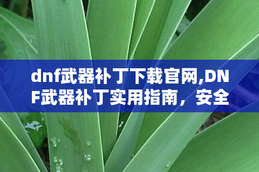 dnf武器补丁下载官网,DNF武器补丁实用指南，安全获取与个性化装扮体验攻略