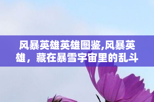 风暴英雄英雄图鉴,风暴英雄，藏在暴雪宇宙里的乱斗乌托邦，装着无数玩家的青春碎片
