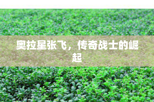 传奇战士的崛起图片