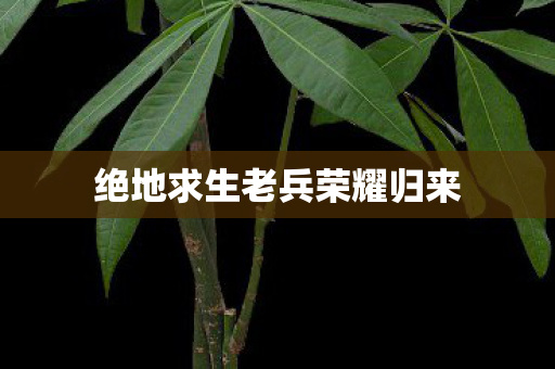绝地求生老兵荣耀归来图片