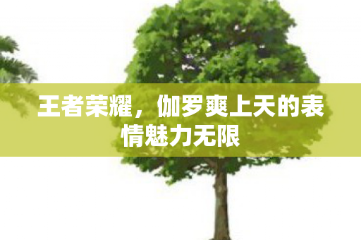 伽罗爽上天的表情魅力无限图片