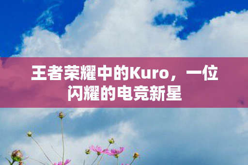 王者荣耀中的Kuro图片