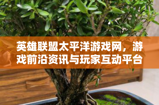 游戏前沿资讯与玩家互动平台图片