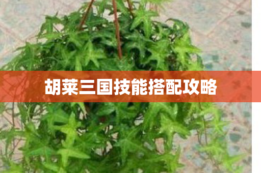 胡莱三国技能搭配攻略图片