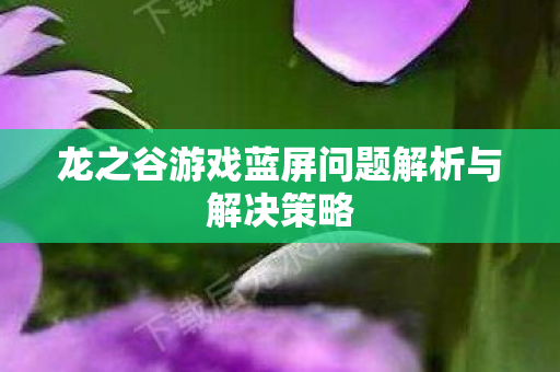龙之谷游戏蓝屏问题解析与解决策略图片