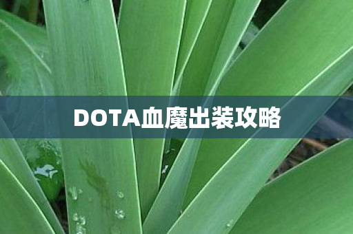 DOTA血魔出装攻略图片