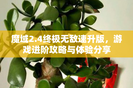 游戏进阶攻略与体验分享图片