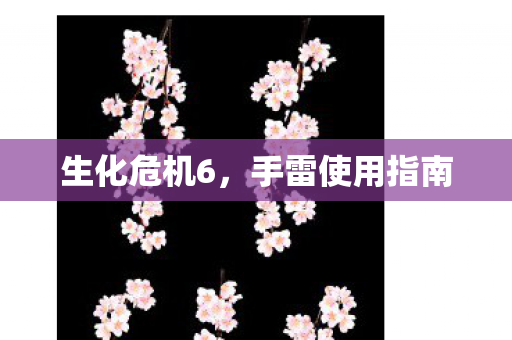 手雷使用指南图片