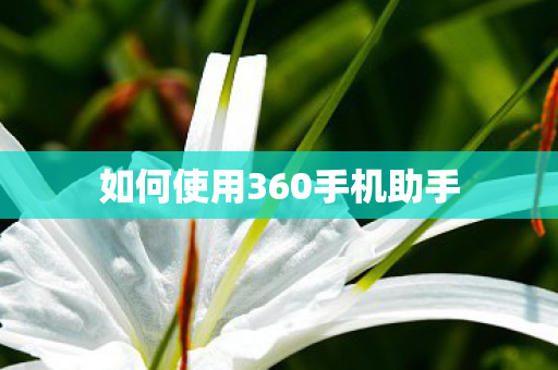 如何使用360手机助手图片