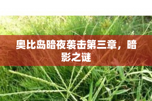 奥比岛暗夜袭击第三章图片