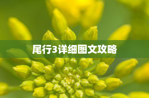 尾行3详细图文攻略图片