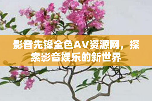 影音先锋全色AV资源网图片
