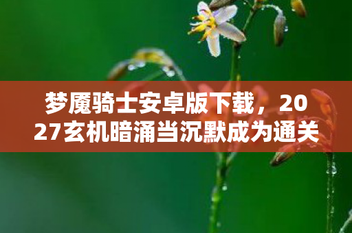 梦魇骑士安卓版下载,2027玄机暗涌当沉默成为通关密码,梦魇骑士究竟在教我什么? 梦魇骑士安卓版下载,2027玄机暗涌当沉默成为通关密码,梦魇骑士究竟在教我什么?