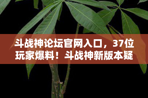 斗战神论坛官网入口,37位玩家爆料!斗战神新版本疑点重重,连大神都绷不住吐槽 斗战神论坛官网入口,37位玩家爆料!斗战神新版本疑点重重,连大神都绷不住吐槽