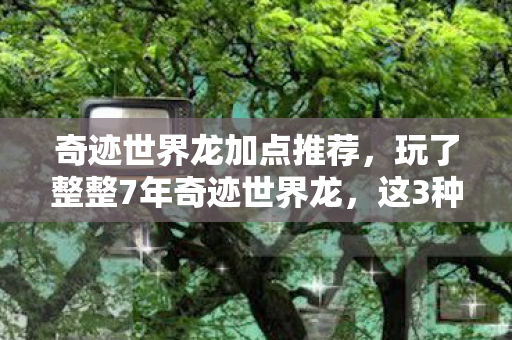 奇迹世界龙加点推荐,玩了整整7年奇迹世界龙,这3种加点法到底该选谁?纠结到失眠! 奇迹世界龙加点推荐,玩了整整7年奇迹世界龙,这3种加点法到底该选谁?纠结到失眠!