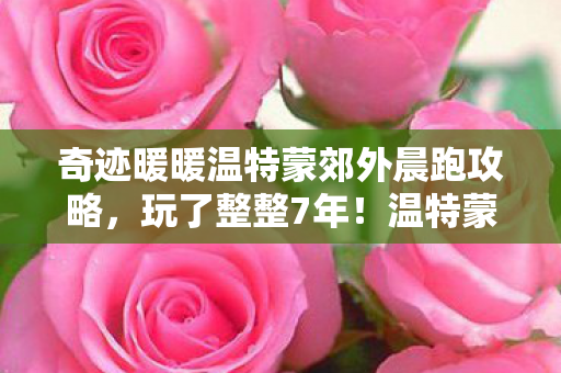 奇迹暖暖温特蒙郊外晨跑攻略，玩了整整7年！温特蒙晨跑选哪套？老玩家纠结到失眠！