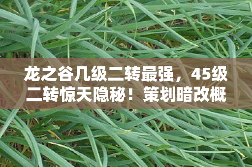 龙之谷几级二转最强，45级二转惊天隐秘！策划暗改概率竟藏这串致命数值