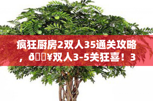 疯狂厨房2双人35通关攻略,🔥双人3-5关狂喜!3招解锁99%默契,手残党也能笑到打滚! 疯狂厨房2双人35通关攻略,🔥双人3-5关狂喜!3招解锁99%默契,手残党也能笑到打滚!