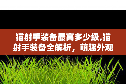 猫射手装备最高多少级,猫射手装备全解析,萌趣外观背后的实用闯关巧思 猫射手装备最高多少级,猫射手装备全解析,萌趣外观背后的实用闯关巧思