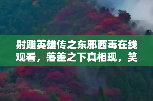 射雕英雄传之东邪西毒在线观看,落差之下真相现,笑着笑着哭了,东邪西毒里的退坑骗局 射雕英雄传之东邪西毒在线观看,落差之下真相现,笑着笑着哭了,东邪西毒里的退坑骗局