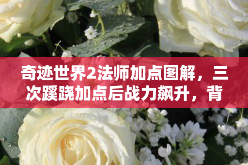 奇迹世界2法师加点图解,三次蹊跷加点后战力飙升,背后真相让人后背发凉! 奇迹世界2法师加点图解,三次蹊跷加点后战力飙升,背后真相让人后背发凉!
