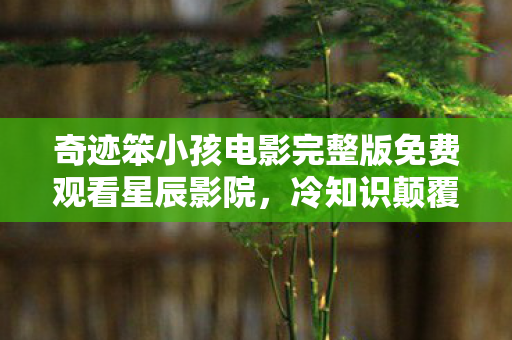 奇迹笨小孩电影完整版免费观看星辰影院,冷知识颠覆认知!玩了十年游戏的我竟目瞪口呆发现…… 奇迹笨小孩电影完整版免费观看星辰影院,冷知识颠覆认知!玩了十年游戏的我竟目瞪口呆发现……