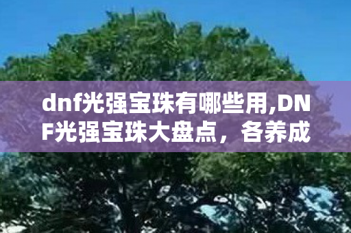 dnf光强宝珠有哪些用,DNF光强宝珠大盘点，各养成阶段适配选购全攻略