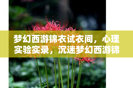 梦幻西游锦衣试衣间,心理实验实录,沉迷梦幻西游锦衣的细思极恐自我麻醉 梦幻西游锦衣试衣间,心理实验实录,沉迷梦幻西游锦衣的细思极恐自我麻醉