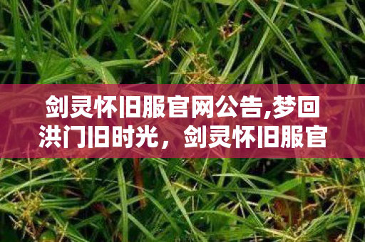 剑灵怀旧服官网公告,梦回洪门旧时光,剑灵怀旧服官方内容全指南 剑灵怀旧服官网公告,梦回洪门旧时光,剑灵怀旧服官方内容全指南