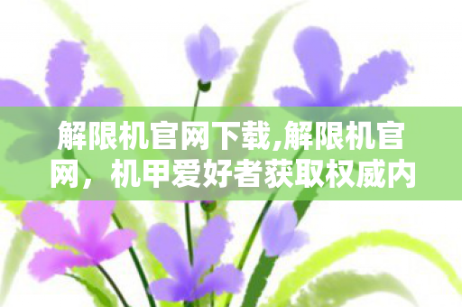 解限机官网下载,解限机官网，机甲爱好者获取权威内容的核心阵地