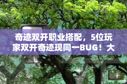 奇迹双开职业搭配，5位玩家双开奇迹现同一BUG！大神沉默萌新炸锅，退坑老鸟，绷不住了