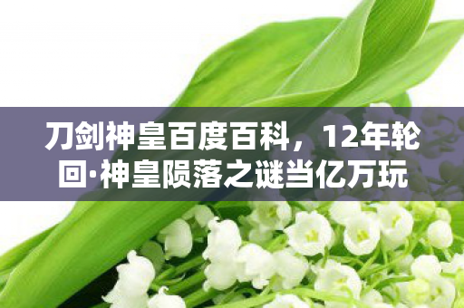 刀剑神皇百度百科,12年轮回·神皇陨落之谜当亿万玩家泪目时,服务器仍在跳动 刀剑神皇百度百科,12年轮回·神皇陨落之谜当亿万玩家泪目时,服务器仍在跳动