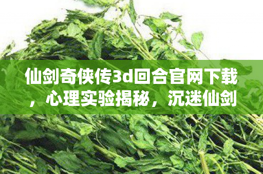 仙剑奇侠传3d回合官网下载，心理实验揭秘，沉迷仙剑3D回合六年，细思极恐的自我麻醉