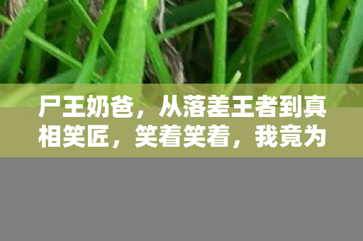 尸王奶爸,从落差王者到真相笑匠,笑着笑着,我竟为尸王哭了? 尸王奶爸,从落差王者到真相笑匠,笑着笑着,我竟为尸王哭了?