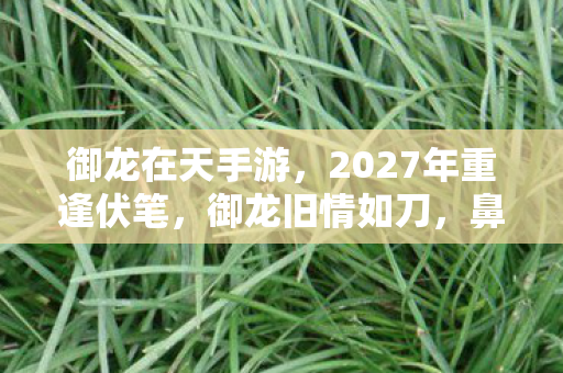 御龙在天手游，2027年重逢伏笔，御龙旧情如刀，鼻子一酸忆起谁替我扛过BOSS