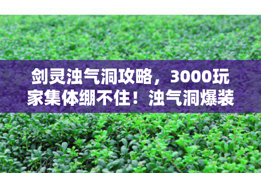 剑灵浊气洞攻略,3000玩家集体绷不住!浊气洞爆装备疑云,大神甩锅萌新背刺退坑佬 剑灵浊气洞攻略,3000玩家集体绷不住!浊气洞爆装备疑云,大神甩锅萌新背刺退坑佬