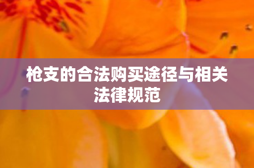 枪支的合法购买途径与相关法律规范图片