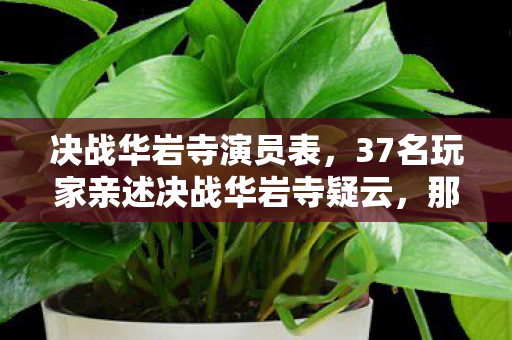 决战华岩寺演员表,37名玩家亲述决战华岩寺疑云,那些在网吧绷不住的深夜 决战华岩寺演员表,37名玩家亲述决战华岩寺疑云,那些在网吧绷不住的深夜