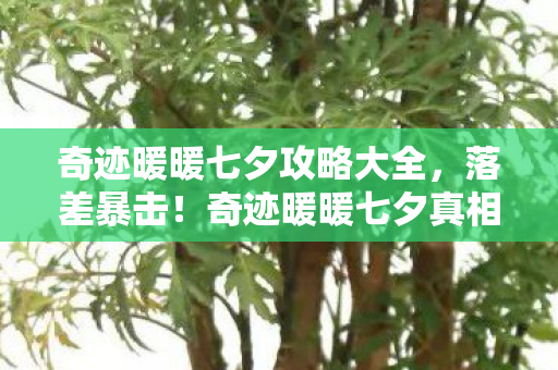 奇迹暖暖七夕攻略大全,落差暴击!奇迹暖暖七夕真相,笑着氪穿钱包,哭着删号又下回 奇迹暖暖七夕攻略大全,落差暴击!奇迹暖暖七夕真相,笑着氪穿钱包,哭着删号又下回