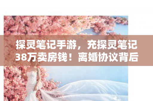 探灵笔记手游,充探灵笔记38万卖房钱!离婚协议背后,真相让我吓一跳! 探灵笔记手游,充探灵笔记38万卖房钱!离婚协议背后,真相让我吓一跳!